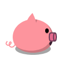 pig